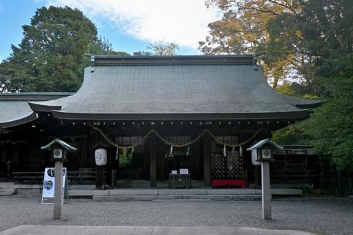 大阪・三島郡 水無瀬神宮 御社殿 大阪・三島郡 水無瀬神宮 御社殿 水無瀬神宮,社殿,鳥居の写真素材
