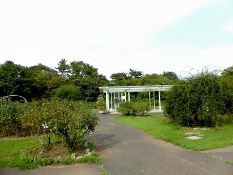 初秋の大船フラワーセンター風景 大船,フラワーセンター,園内の写真素材
