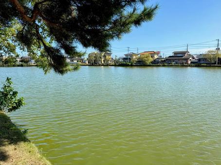 茨城県水戸市の大塚池で秋晴れの一日 茨城県水戸市の大塚池で秋晴れの一日 池,水面,住宅街の写真素材