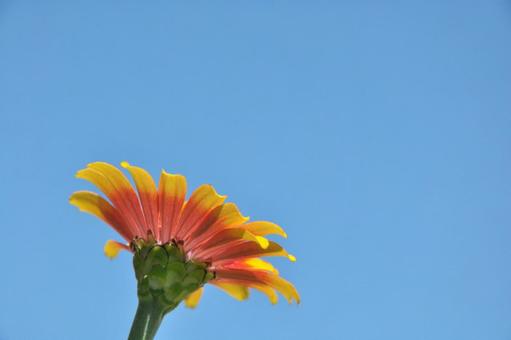 Summer sky, JPG