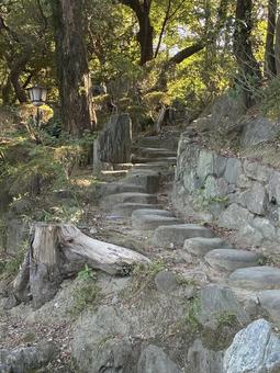 雁木 石段 雁木 石段 雁木,石段,石畳の写真素材