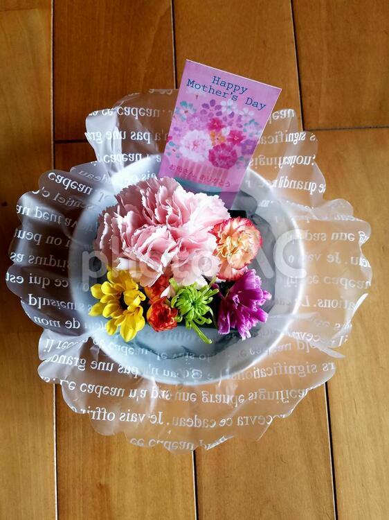 母の日　カーネーション　9 母の日,プレゼント,カーネーシの写真素材