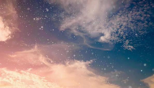 空と光と木の写真