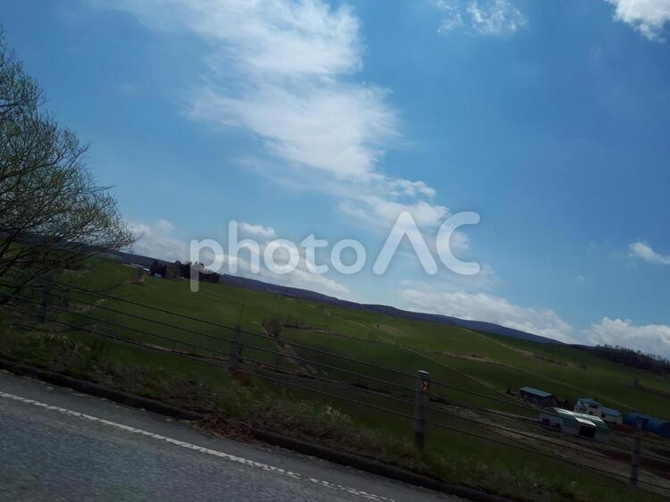 北海道の風景(車窓から) 風景,道路,木の写真素材