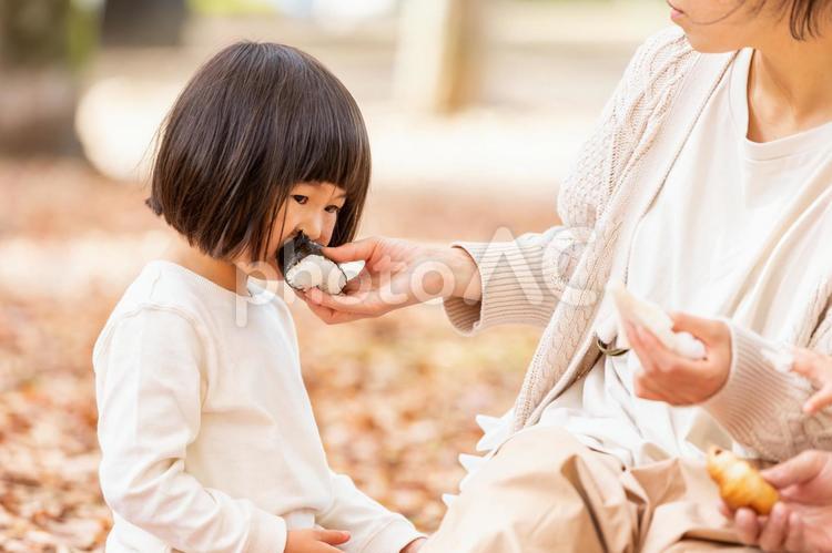ピクニックでおにぎりを食べる子供 子供,おにぎり,食べるの写真素材