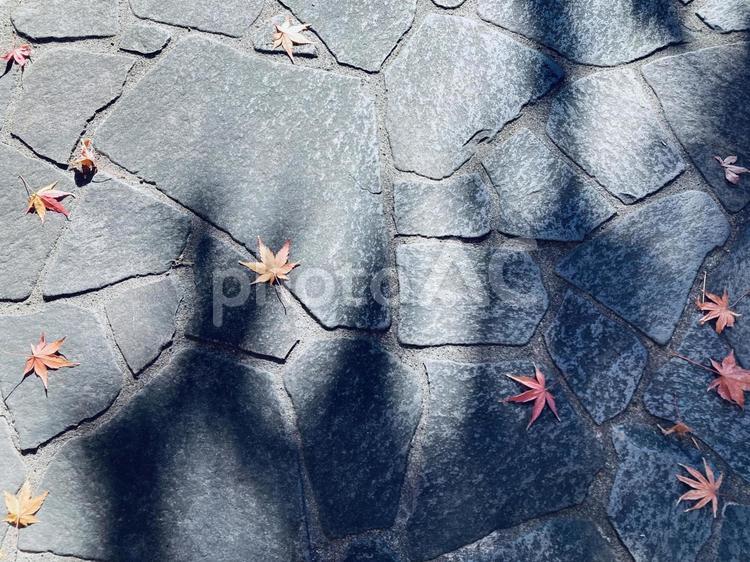 石畳とモミジ 石畳,地面,風景の写真素材
