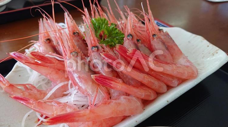 朝採れの甘エビが沢山載った白い皿 甘エビ,えび,刺身定食の写真素材