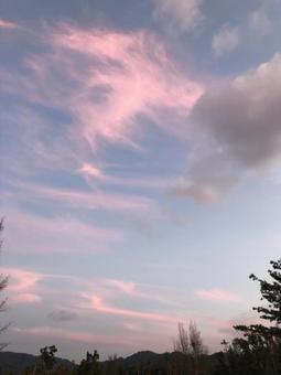ピンクの空 ピンクの空の写真