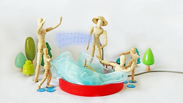 Photo, playing in the water, line water, bathing, 