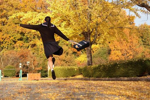 紅葉に浮かれて 紅葉,秋,落ち葉の写真素材