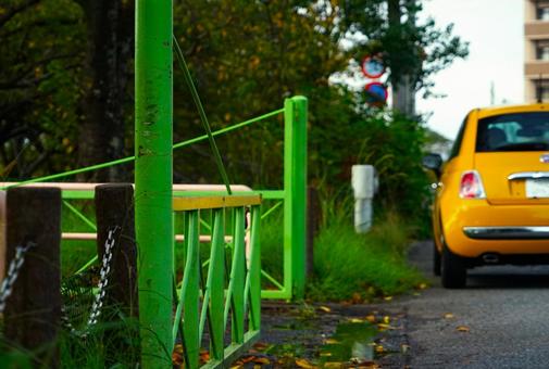 秋の舗道②(寄り) 秋の舗道②(寄り)の写真