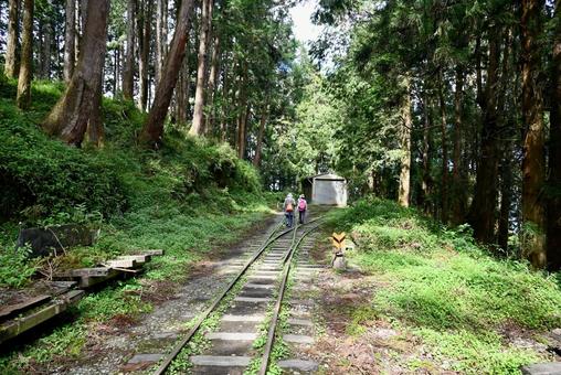 台湾 阿里山 国家森林遊楽区 台湾 阿里山 国家森林遊楽区 台湾,阿里山,国家森林遊楽区の写真素材