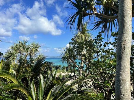 沖縄風景 ビーチ,海,空の写真素材