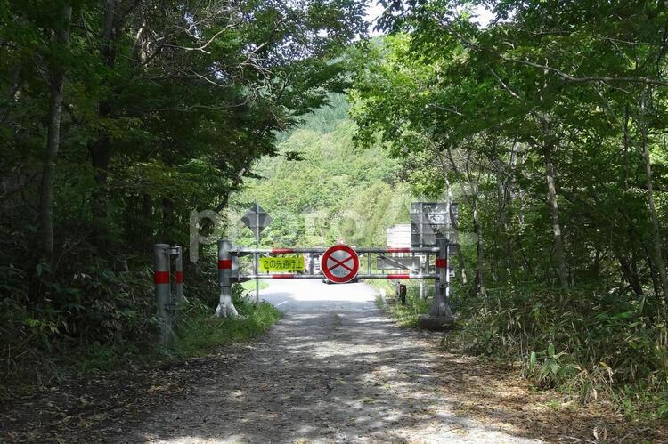 通行止 木,自然,風景の写真素材