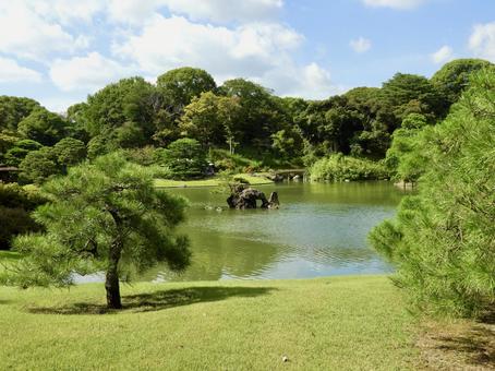 特別名勝六義園6 六義園,庭園,大名庭園の写真素材