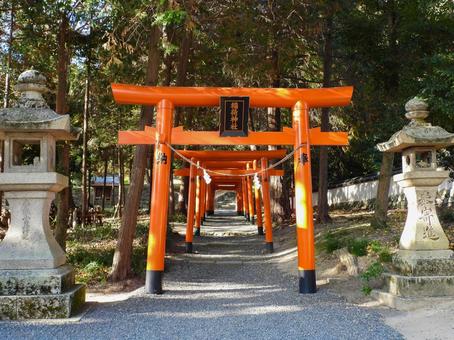 岡山県 吉備津彦神社 稲荷神社の鳥居群 岡山県 吉備津彦神社 稲荷神社の鳥居群の写真