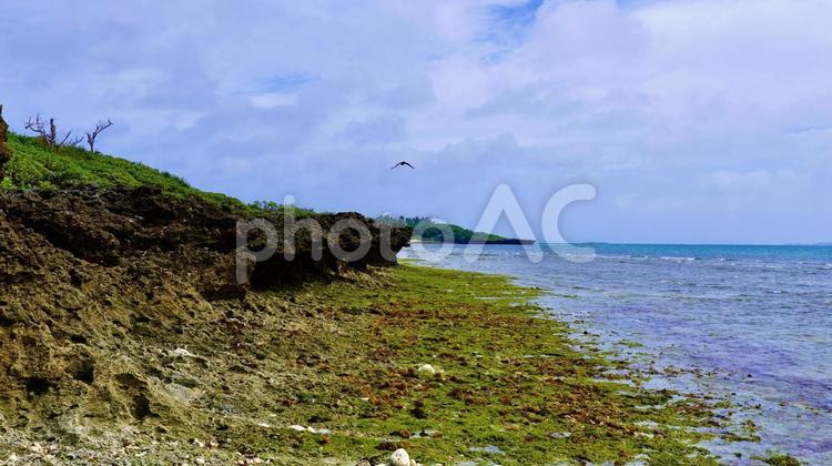 沖縄県うるま市津堅島のクワーチン浜 クワーチン浜,浜,海の写真素材