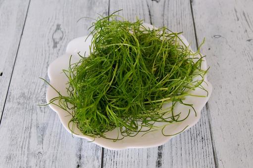おかひじき おかひじき おかひじき,野菜,ミルナの写真素材