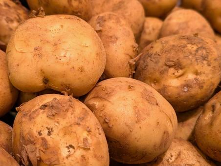 山盛りじゃがいも⑤ 山盛りじゃがいも⑤ じゃがいも,野菜,食材の写真素材
