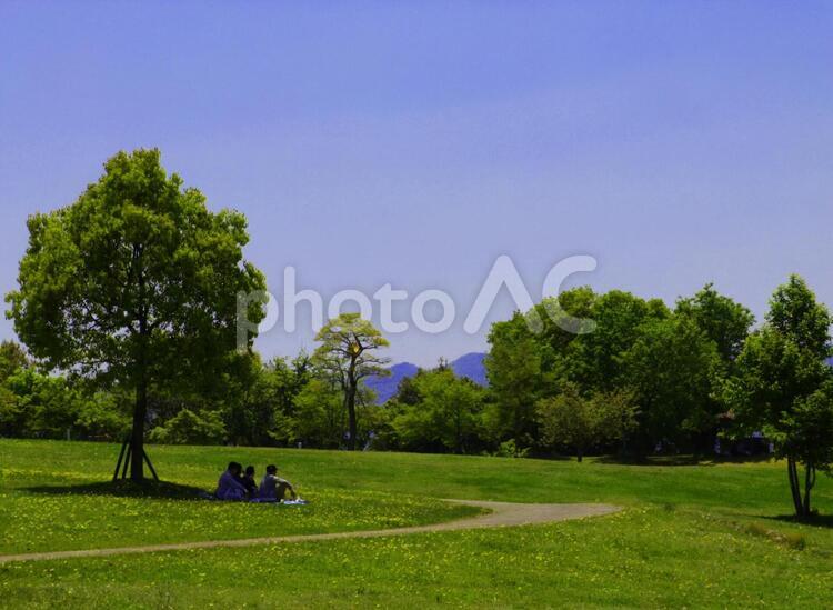 青空の木陰でお弁当 新緑,風景,初夏の写真素材