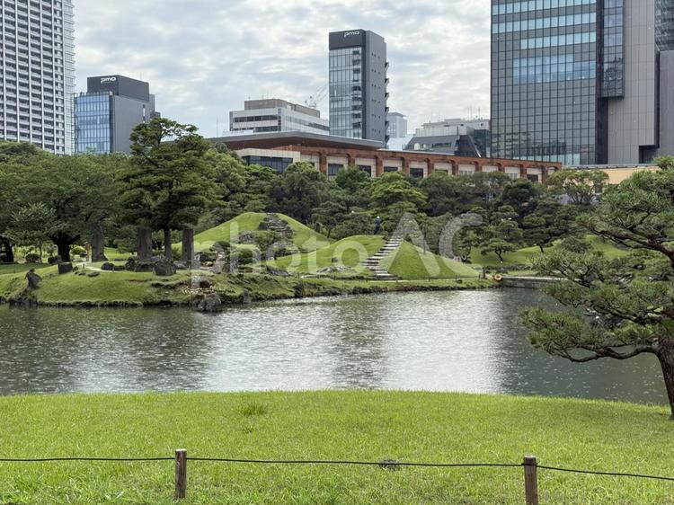6月　旧芝離宮恩賜庭園 旧芝離宮恩賜庭園,都会の自然,6月の写真素材