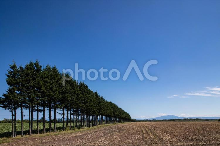 林と畑 いなか,きれい,のどかの写真素材