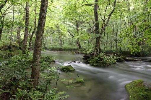 mountain stream 41, draußen, wandern, ein spaziergang, JPG