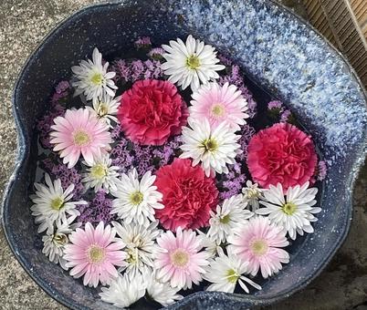 花手水 色とりどりの花 花手水 色とりどりの花 花手水,色とりどりの花,花の写真素材