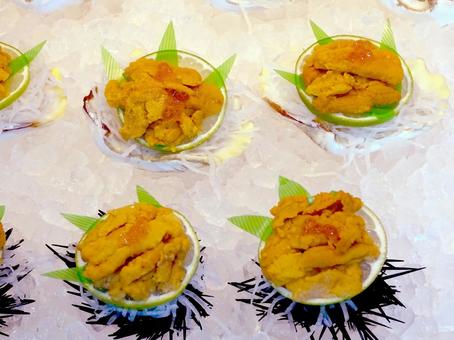 生ウニのイクラのせ 生ウニのイクラのせ 生ウニ,イクラ,雲丹の写真素材