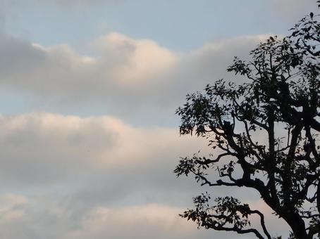 夕暮の景色-2の写真