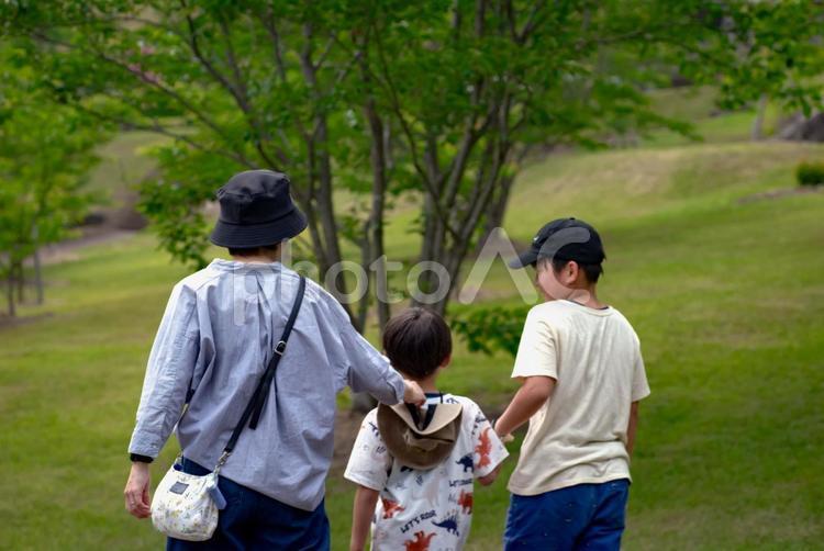 ＜素材＞春の並木道を散策する家族 家族,親子,女性の写真素材