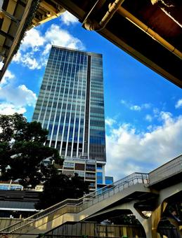 横浜公園からの景色 横浜公園からの景色の写真