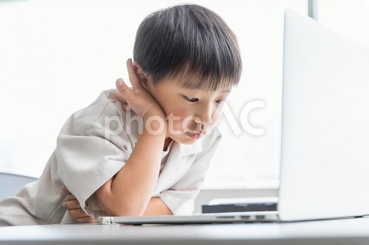 勉強をする小学生　study 塾,学習塾,習い事の写真素材