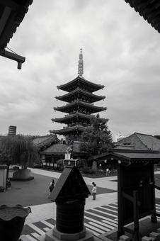 浅草寺五重塔 浅草寺,五重塔,浅草の写真素材