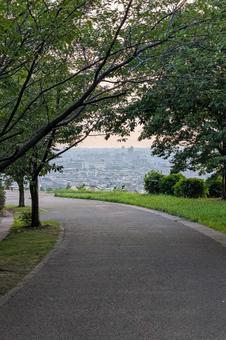木々からのぞく街並み 木々からのぞく街並みの写真