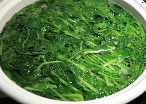 葉大根を茹でる 葉大根を茹でるの写真