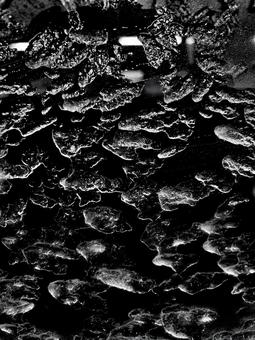 氷 氷の写真