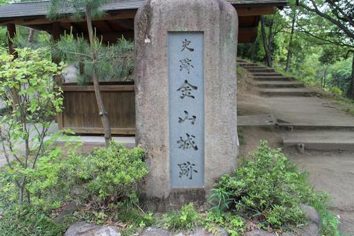 金山城1 金山城1の写真