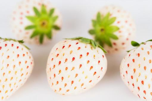 Photo, strawberry, white, pearl white, 