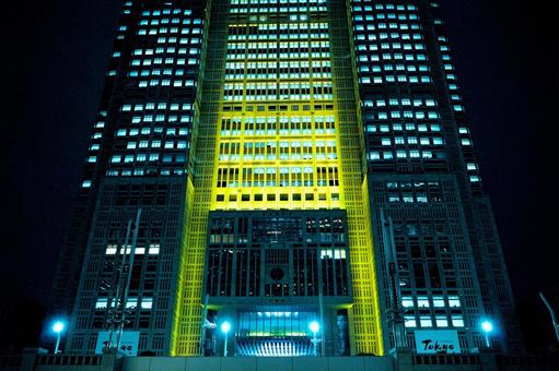 東京都庁舎の夜景 東京都庁舎の夜景の写真
