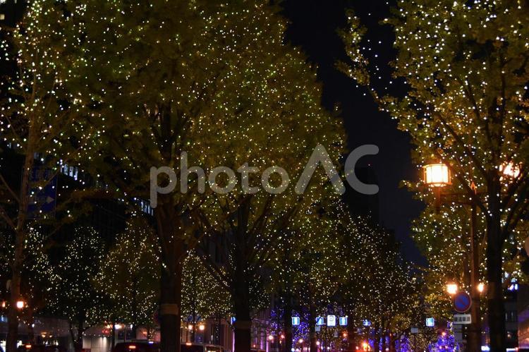 2023御堂筋イルミネーション 御堂筋,イルミネーション,夜景の写真素材