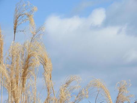1月の風景 1月の風景の写真