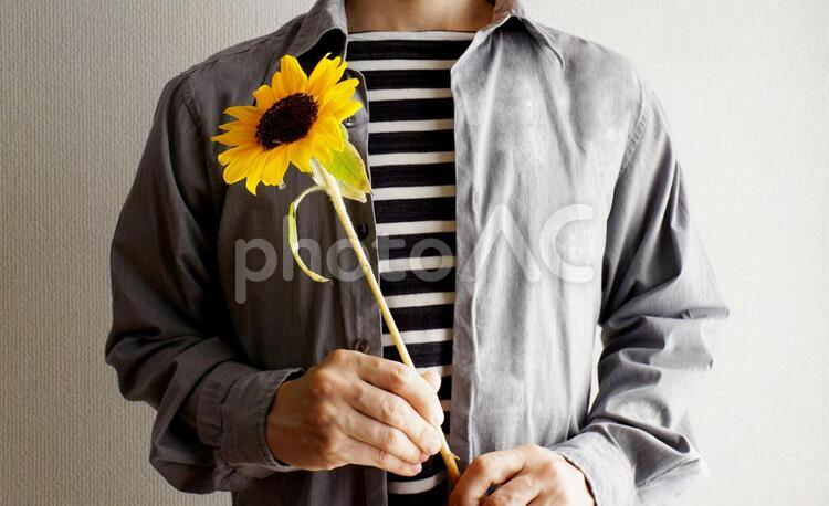 ひまわりの花を贈る男性 男性,人物,ひまわりの写真素材