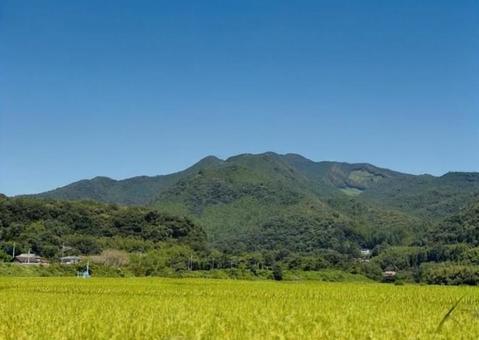 日本の田園風景と山並みと青空 日本の田園風景と山並みと青空 稲穂,青空,自然の写真素材