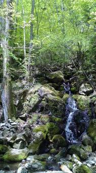 四万十川源流 四万十川,源流,高知の写真素材