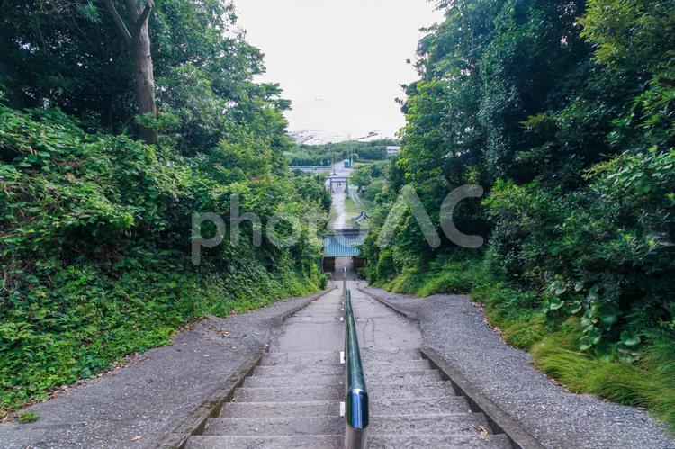 洲崎神社 洲崎神社,洲崎,館山の写真素材