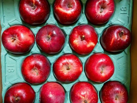 モールドに入ったりんご モールド,りんご,果物の写真素材