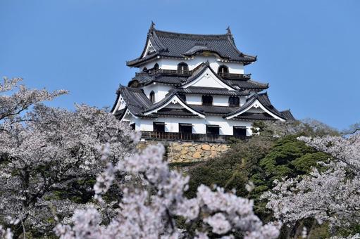 彦根城 彦根城 城,彦根,彦根城の写真素材