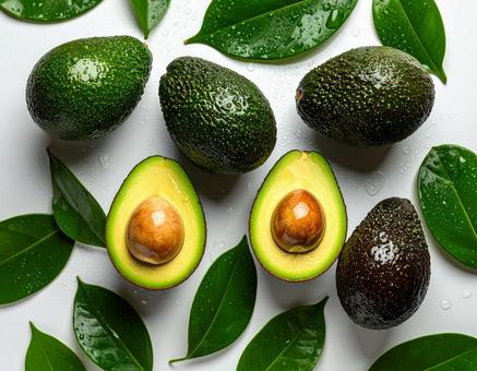 アボカド カット断面 白背景 アボカド カット断面 白背景の写真