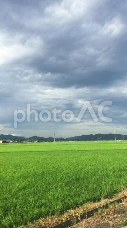 田園風景 田園,益子,田舎の写真素材